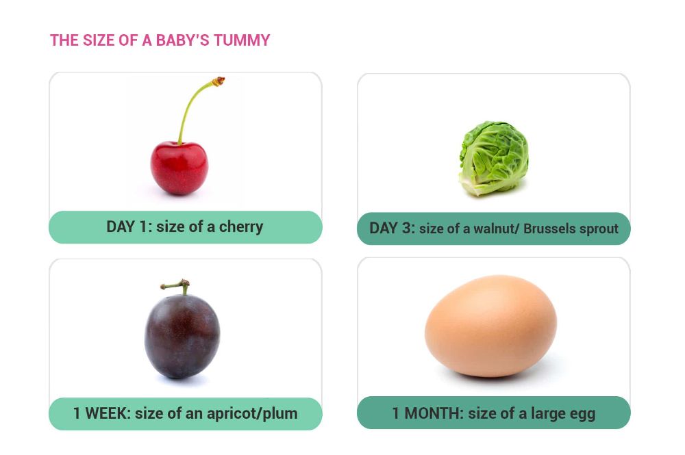 chart-babys-tummy-size-comparison.jpg
